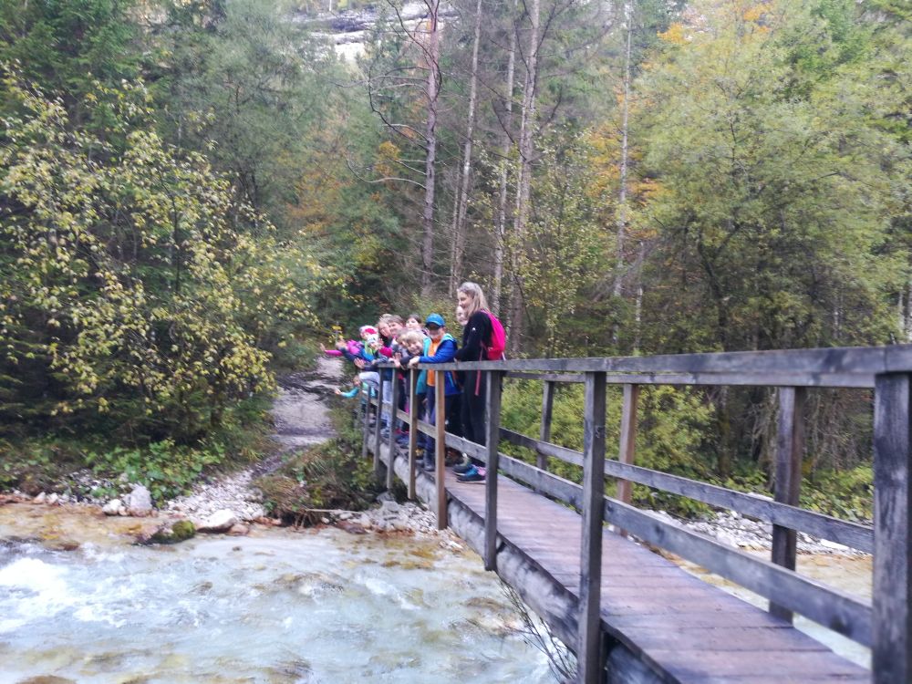 slovenija_planinari_pohod_ob_triglavski_bistrici_2019_pd_dovje_mojstrana__3_